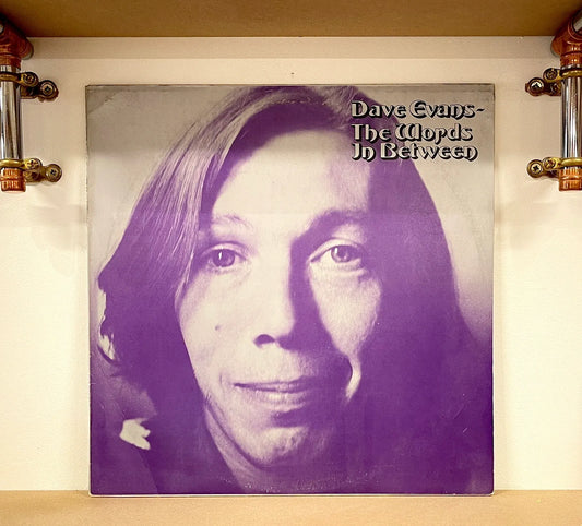 Dave Evans – The Words In Between
