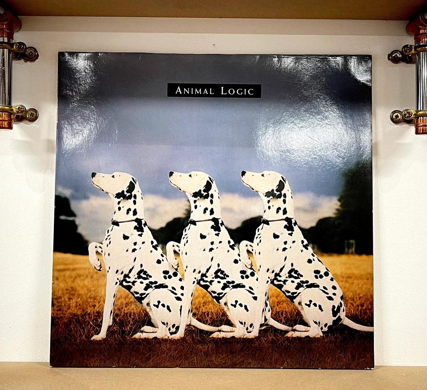 Animal Logic – Animal Logic