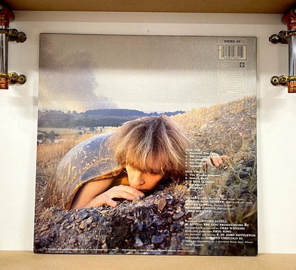Julian Cope – Fried