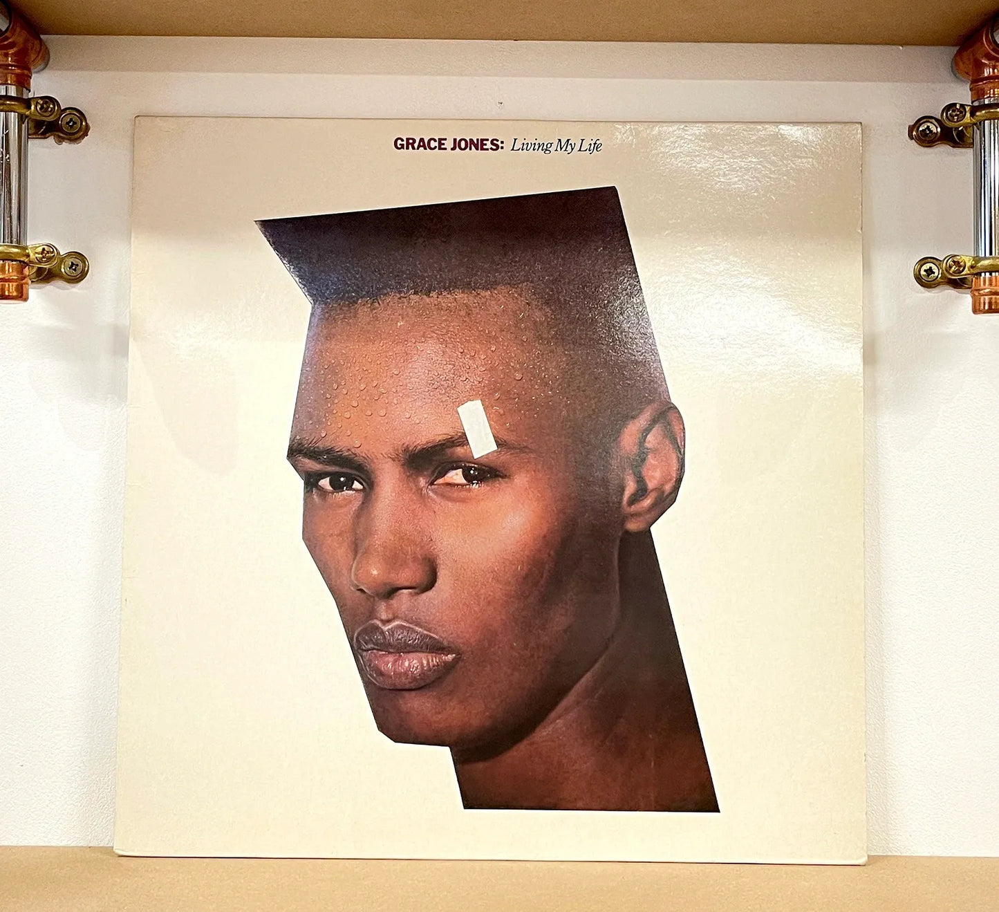 Grace Jones – Living My Life