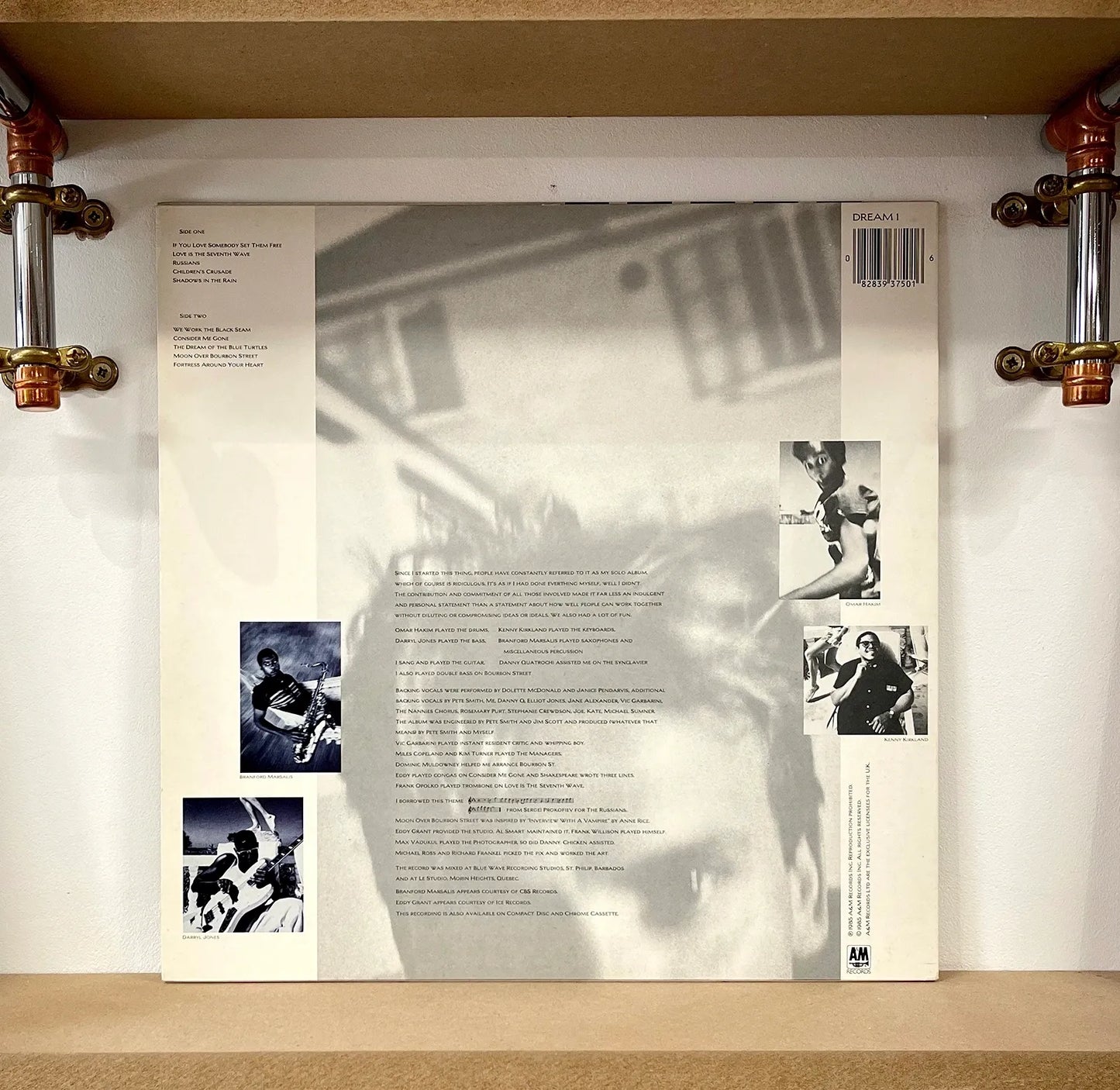 Sting – The Dream Of The Blue Turtles