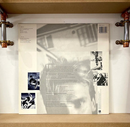 Sting – The Dream Of The Blue Turtles