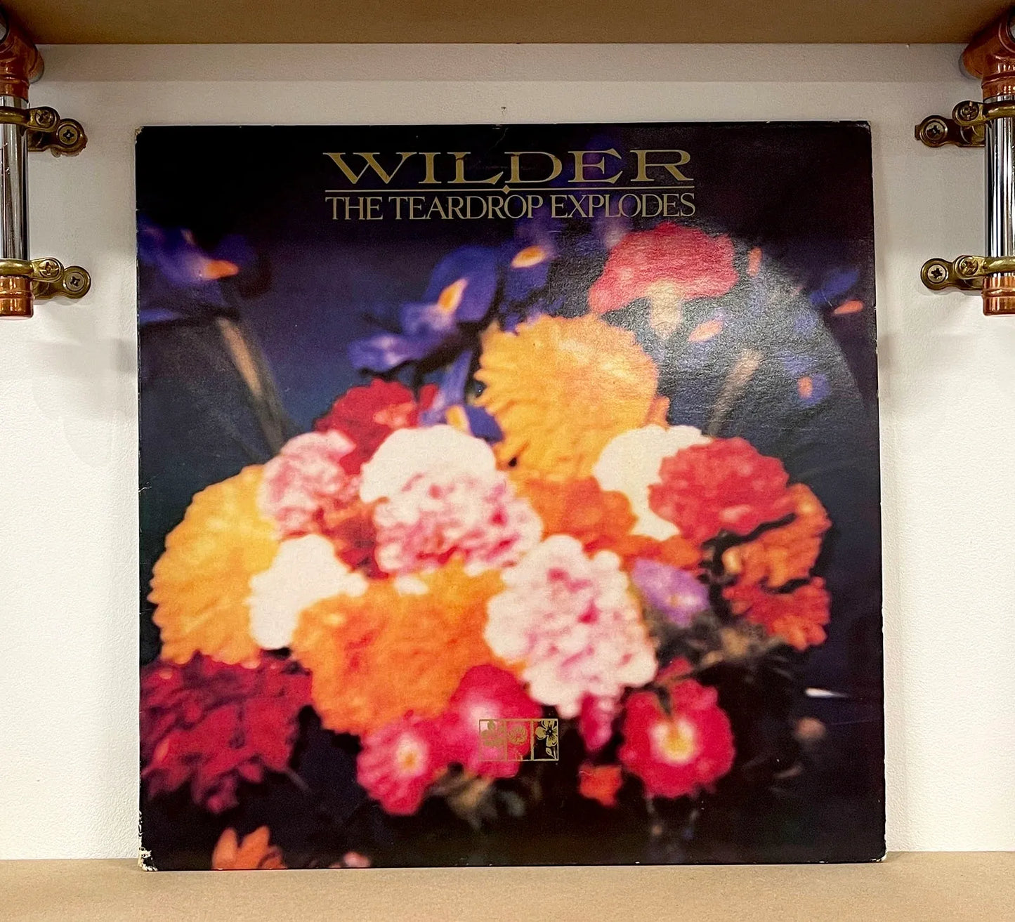 The Teardrop Explodes – Wilder