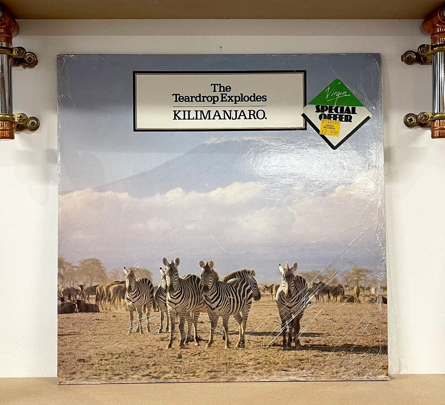 The Teardrop Explodes – Kilimanjaro