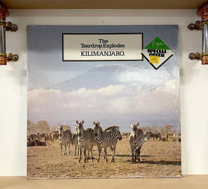 The Teardrop Explodes – Kilimanjaro