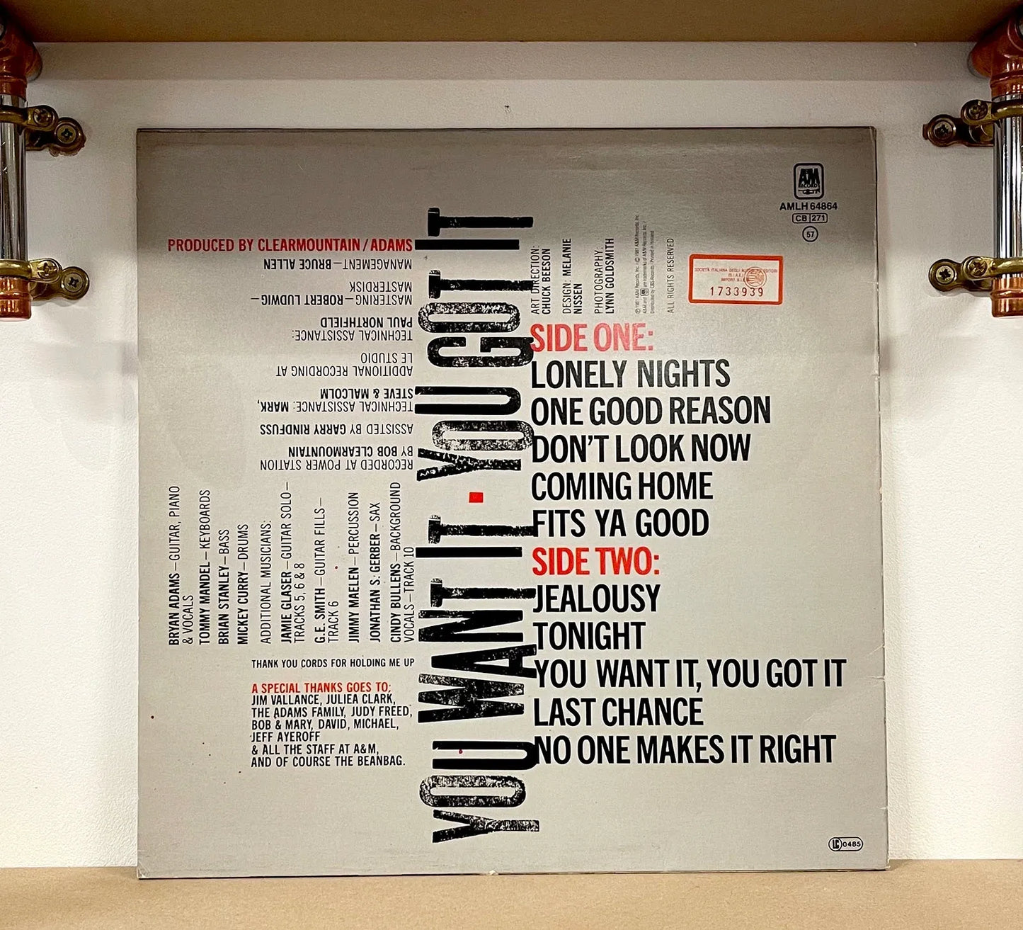 Bryan Adams – You Want It, You Got It