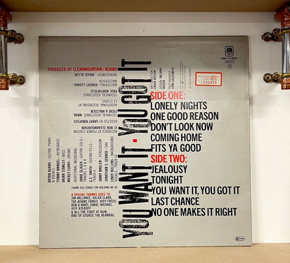 Bryan Adams – You Want It, You Got It