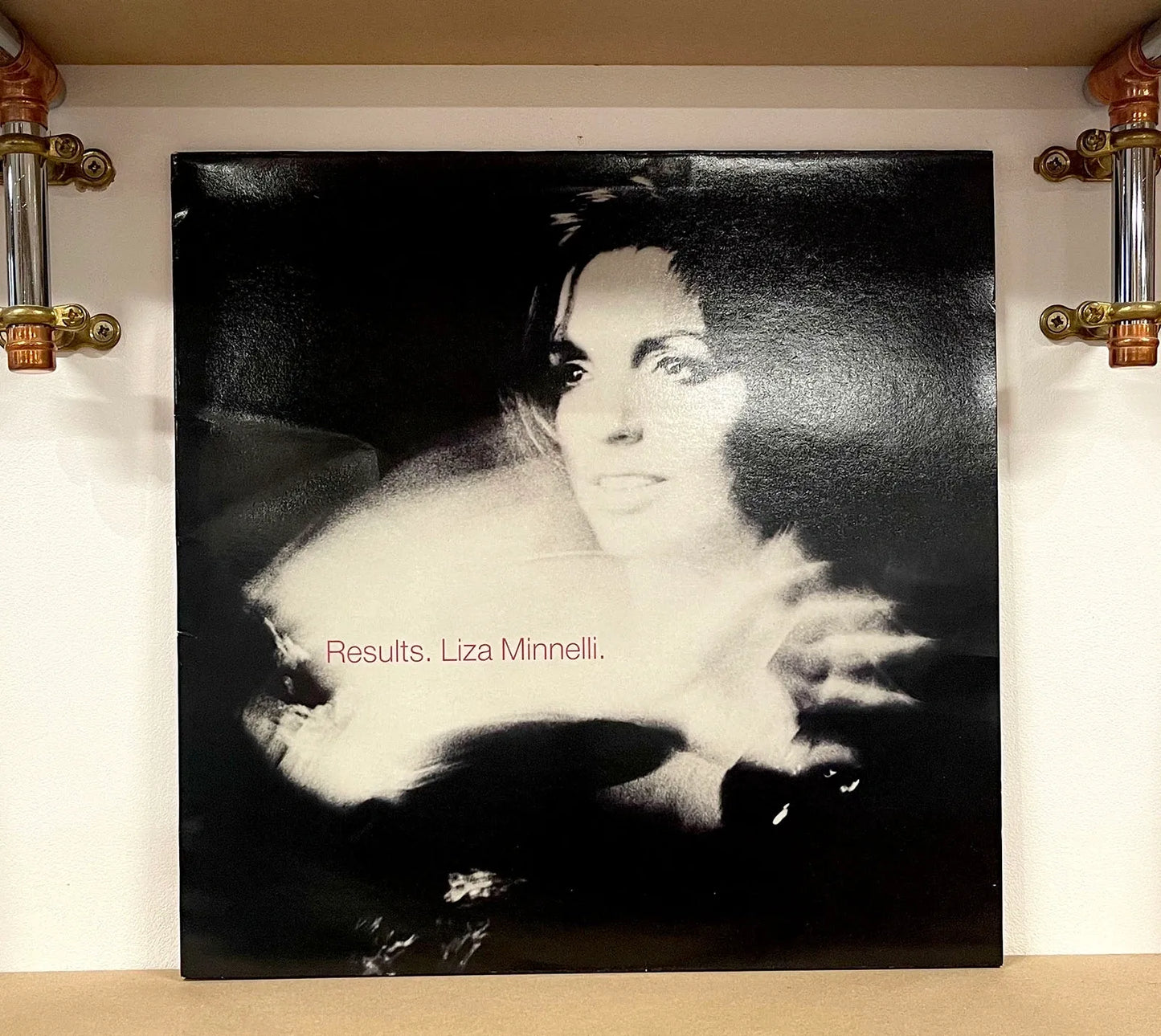 Liza Minnelli – Results