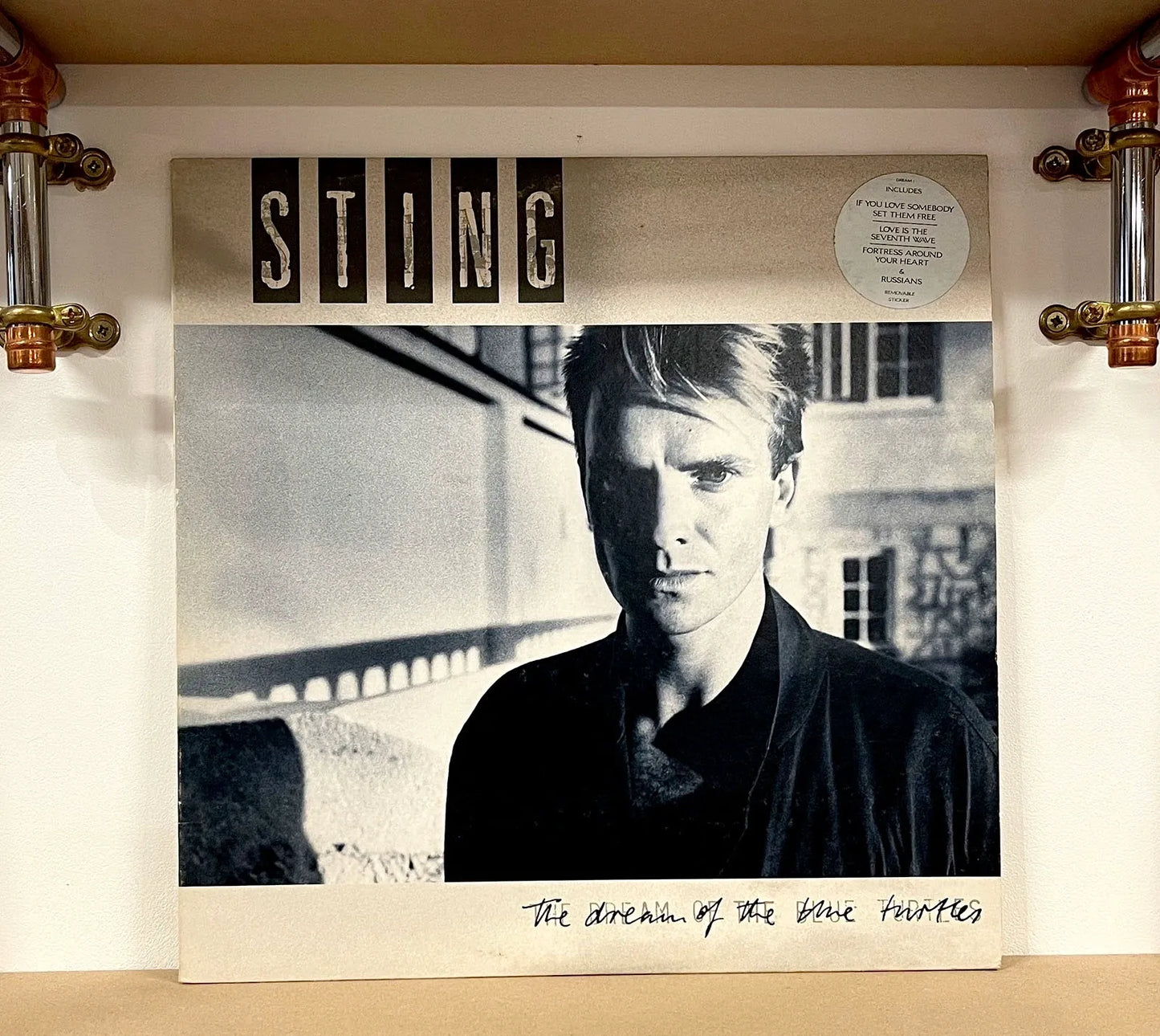 Sting – The Dream Of The Blue Turtles
