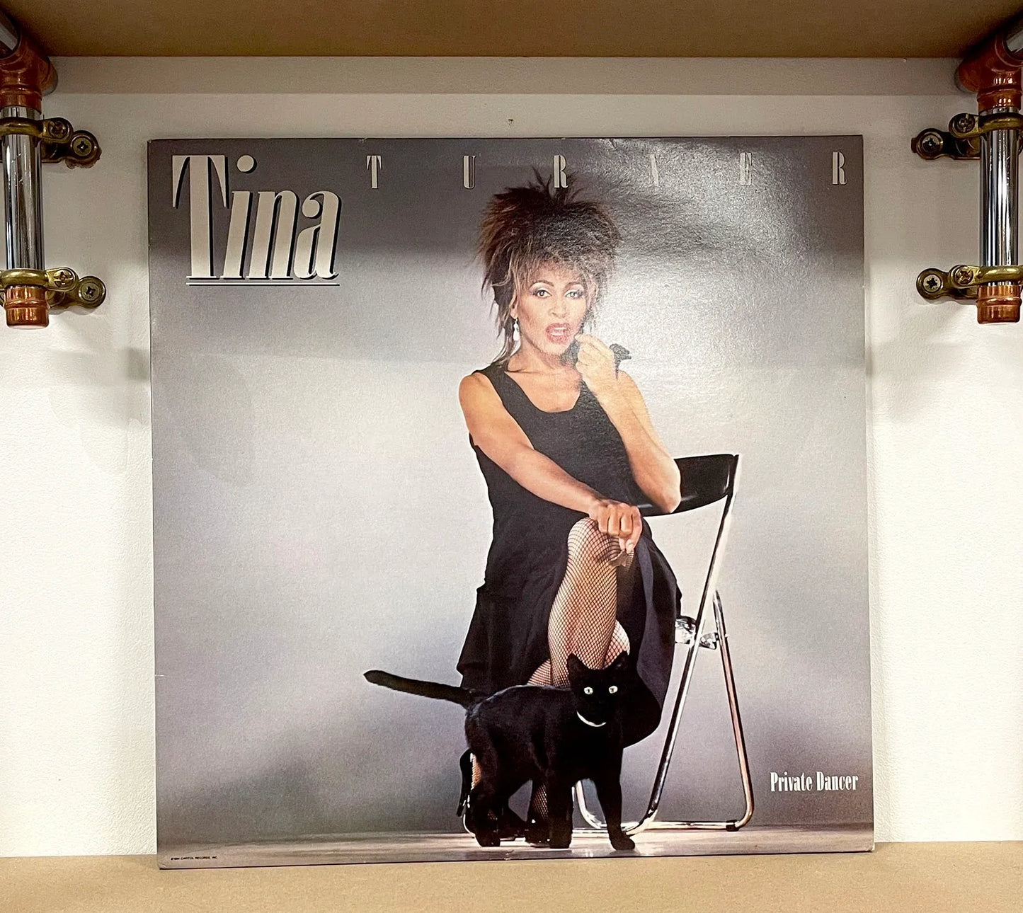 Tina Turner – Private Dancer