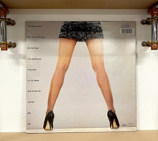Tina Turner – Private Dancer