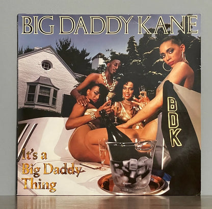 Big Daddy Kane – It's A Big Daddy Thing