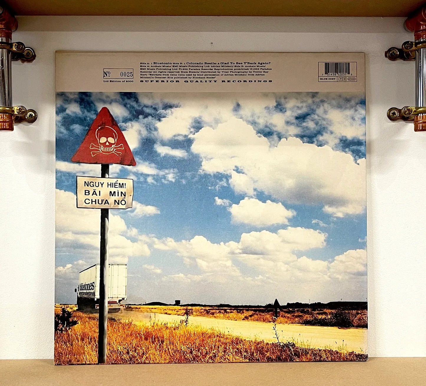 The Bluetones – Bluetonic