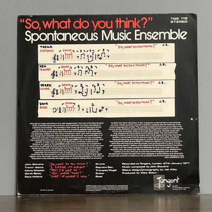 Spontaneous Music Ensemble – So, What Do You Think?