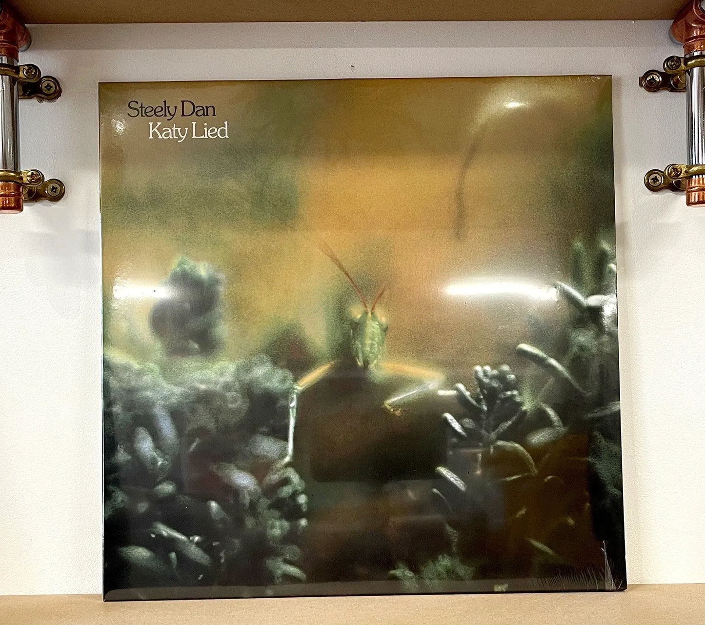 Steely Dan – Katy Lied