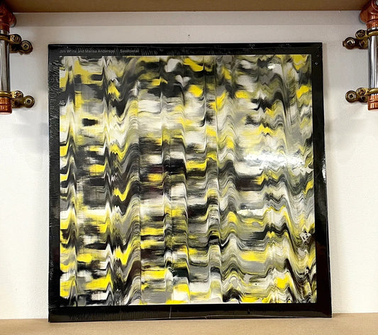 Jim White And Marisa Anderson – Swallowtail