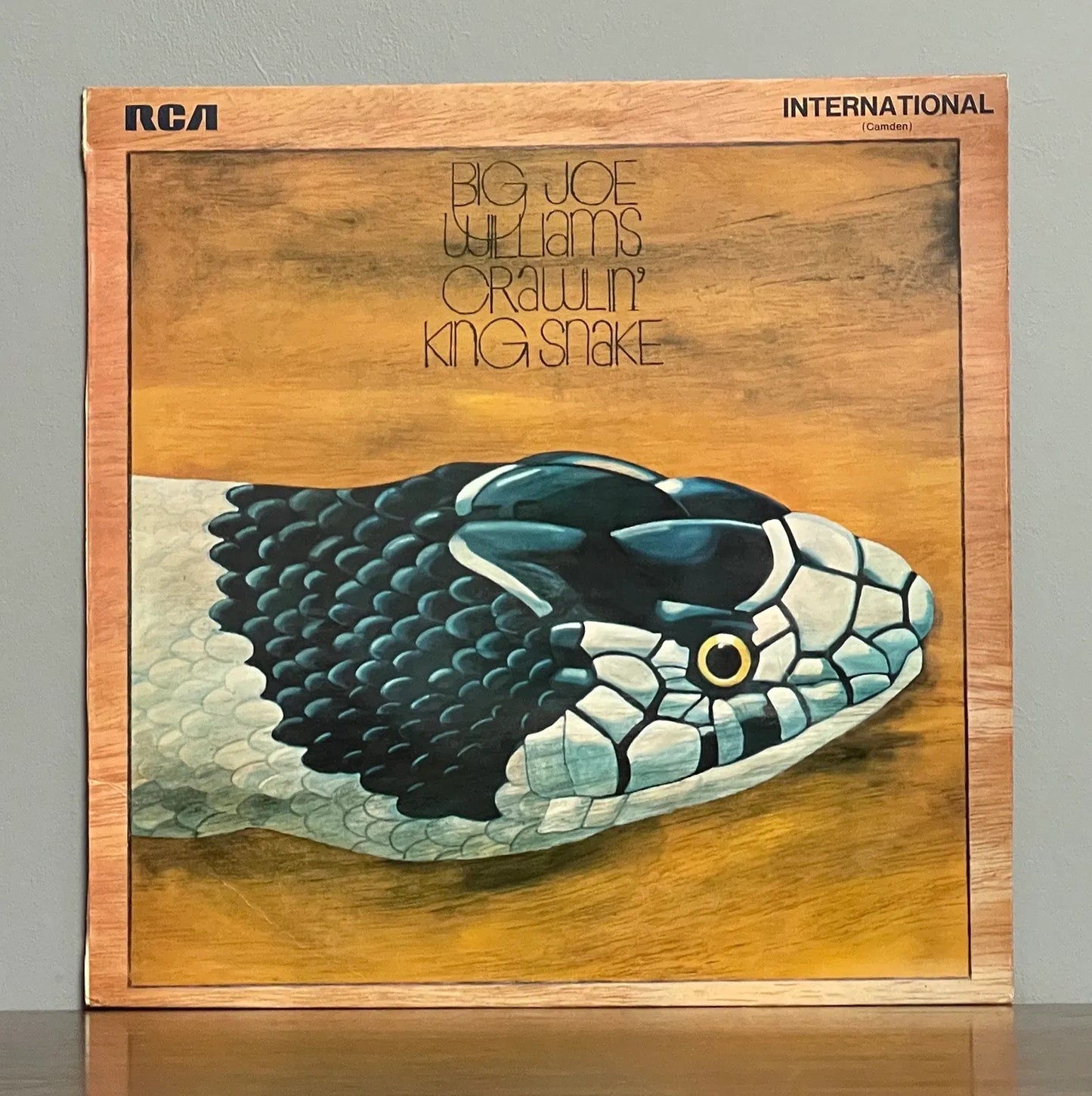Big Joe Williams – Crawlin' King Snake