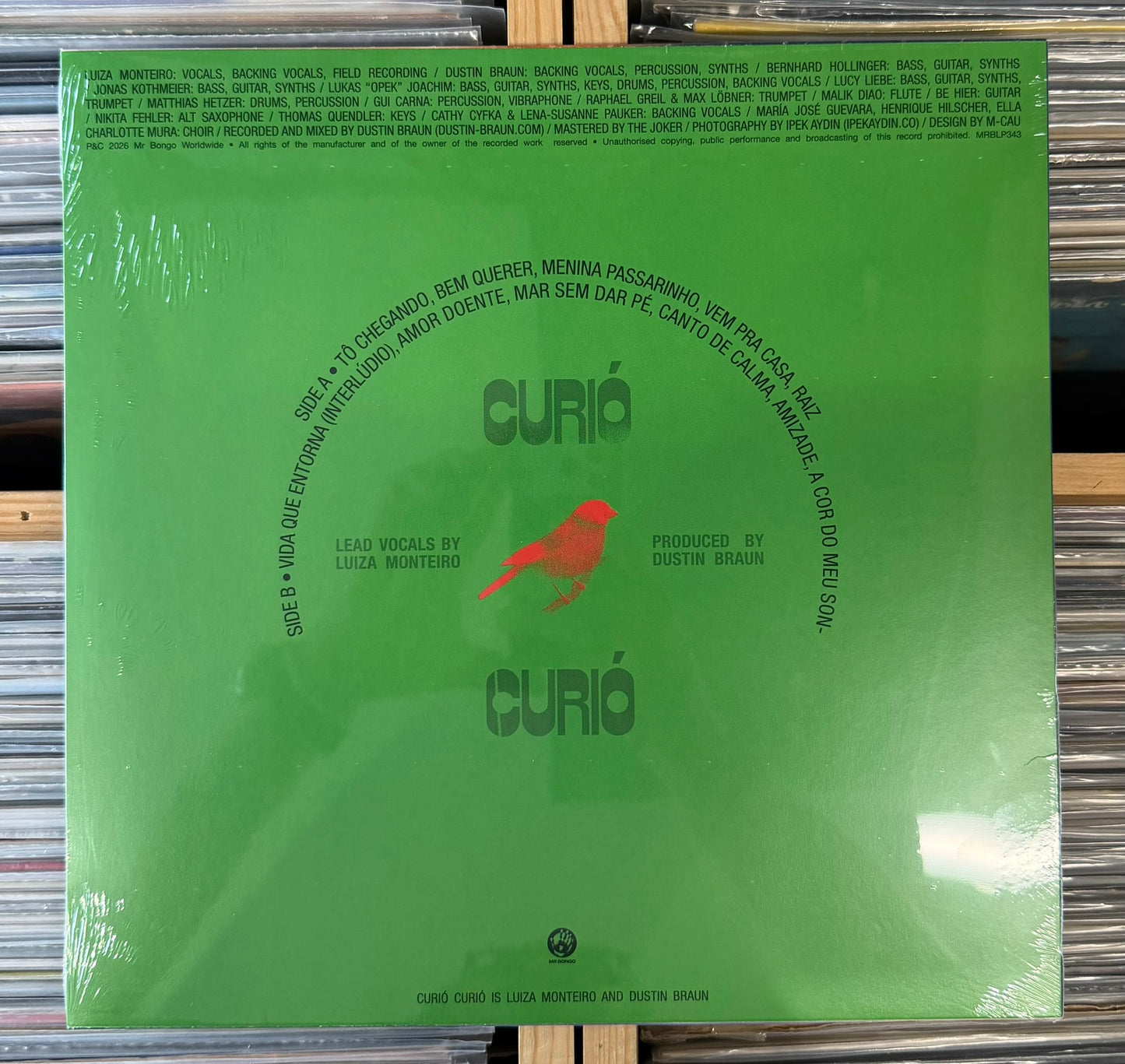 Curio Curio - Curio Curio (Neon Orange vinyl)