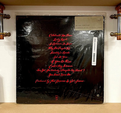 Kenny Loggins – Celebrate Me Home