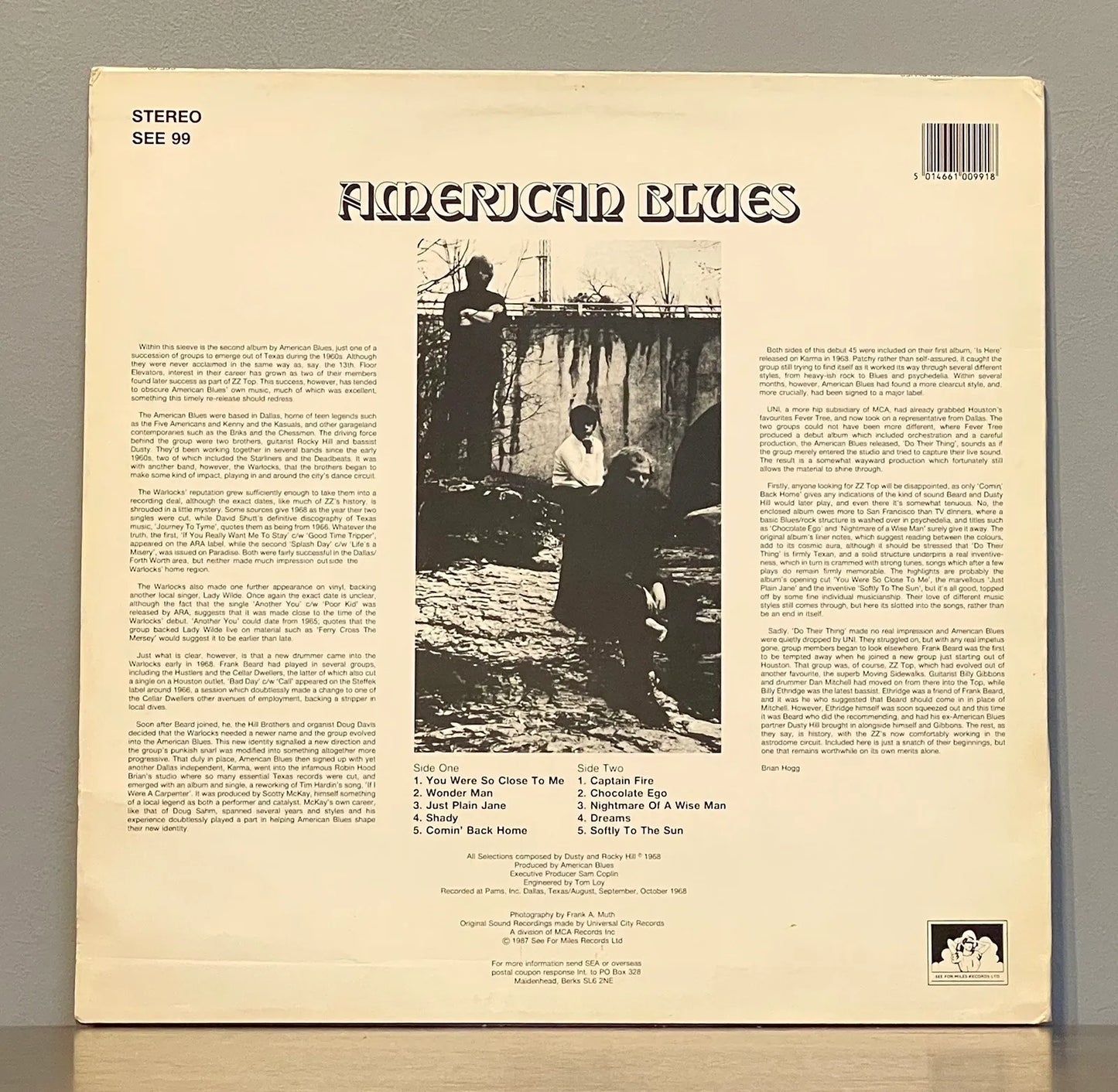 American Blues – Do Their Thing