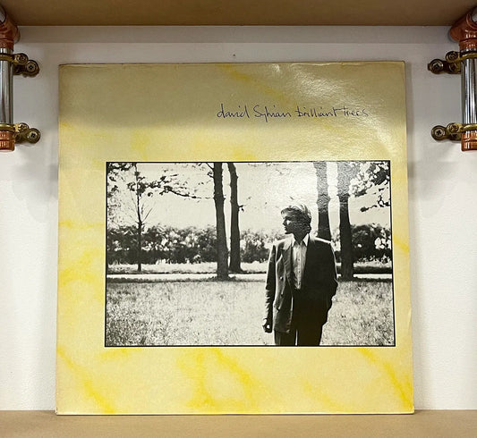 David Sylvian – Brilliant Trees
