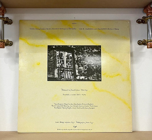 David Sylvian – Brilliant Trees