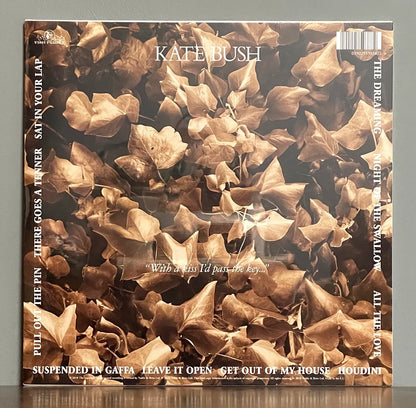 Kate Bush – The Dreaming