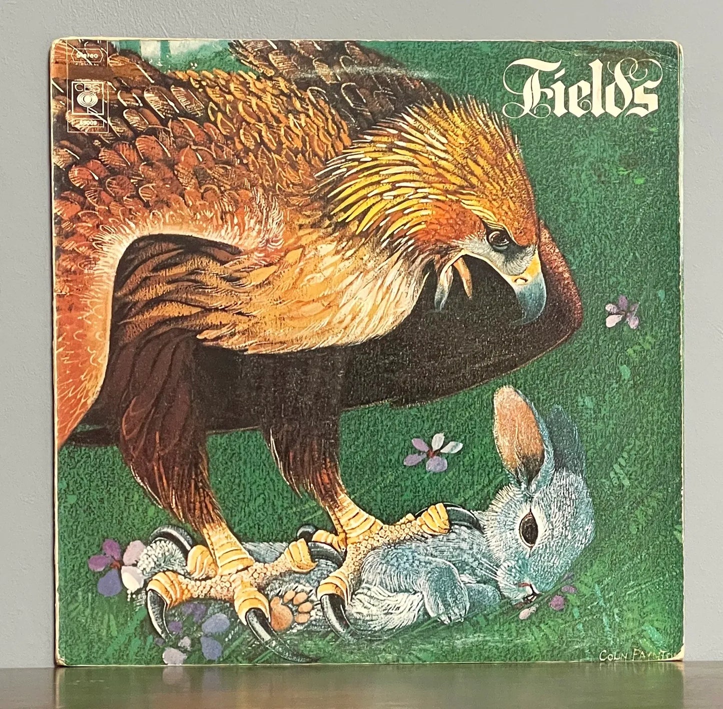 Fields – Fields