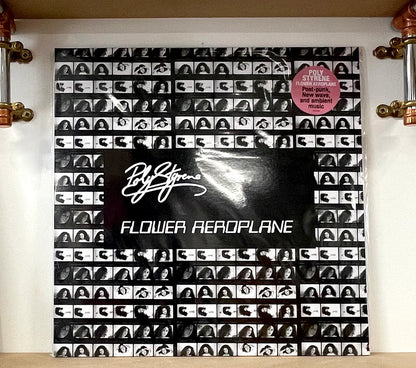 Poly Styrene - Flower Aeroplane