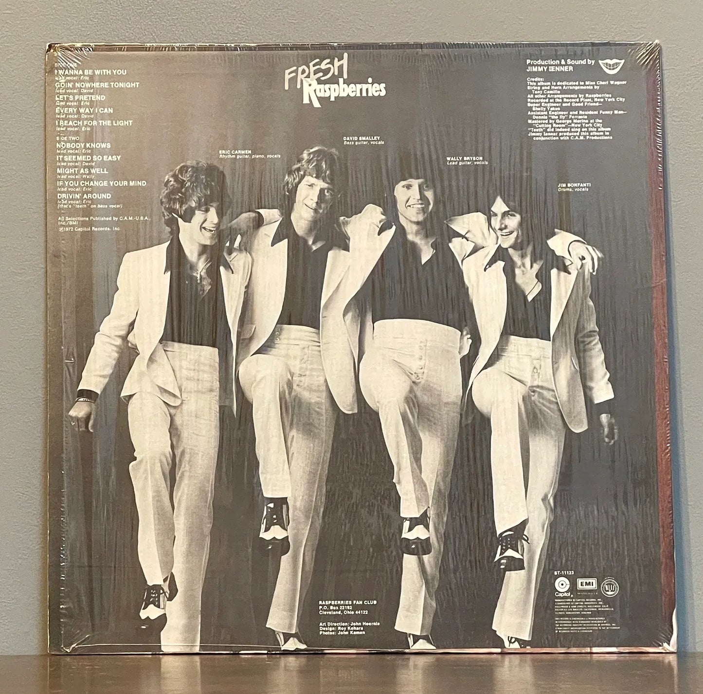 Raspberries – Fresh