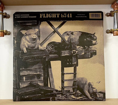 King Gizzard & The Lizard Wizard – Flight b741