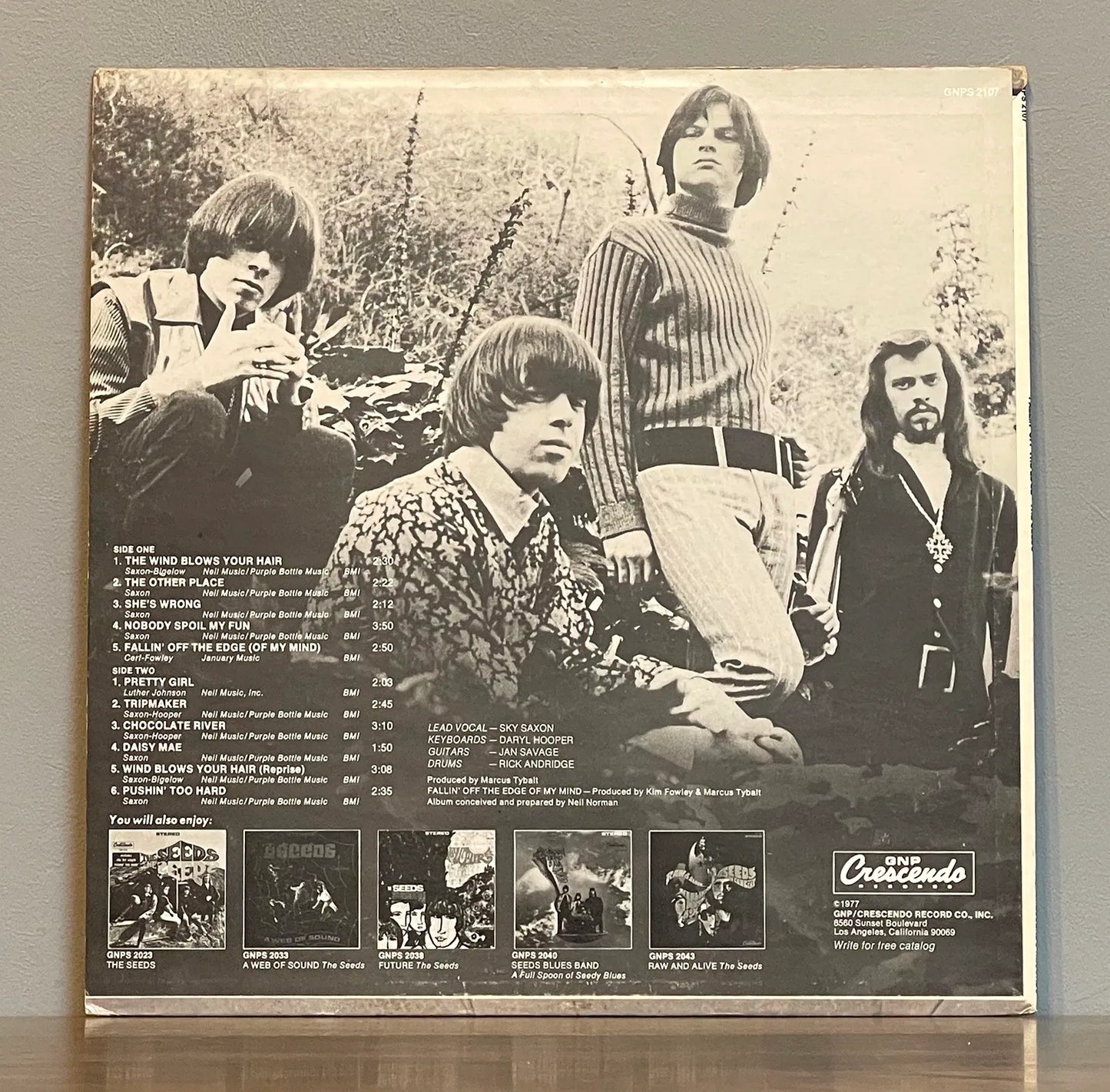 The Seeds – Fallin' Off The Edge
