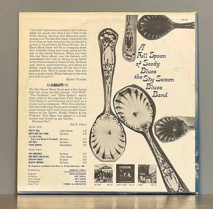 Sky Saxon Blues Band – A Full Spoon Of Seedy Blues