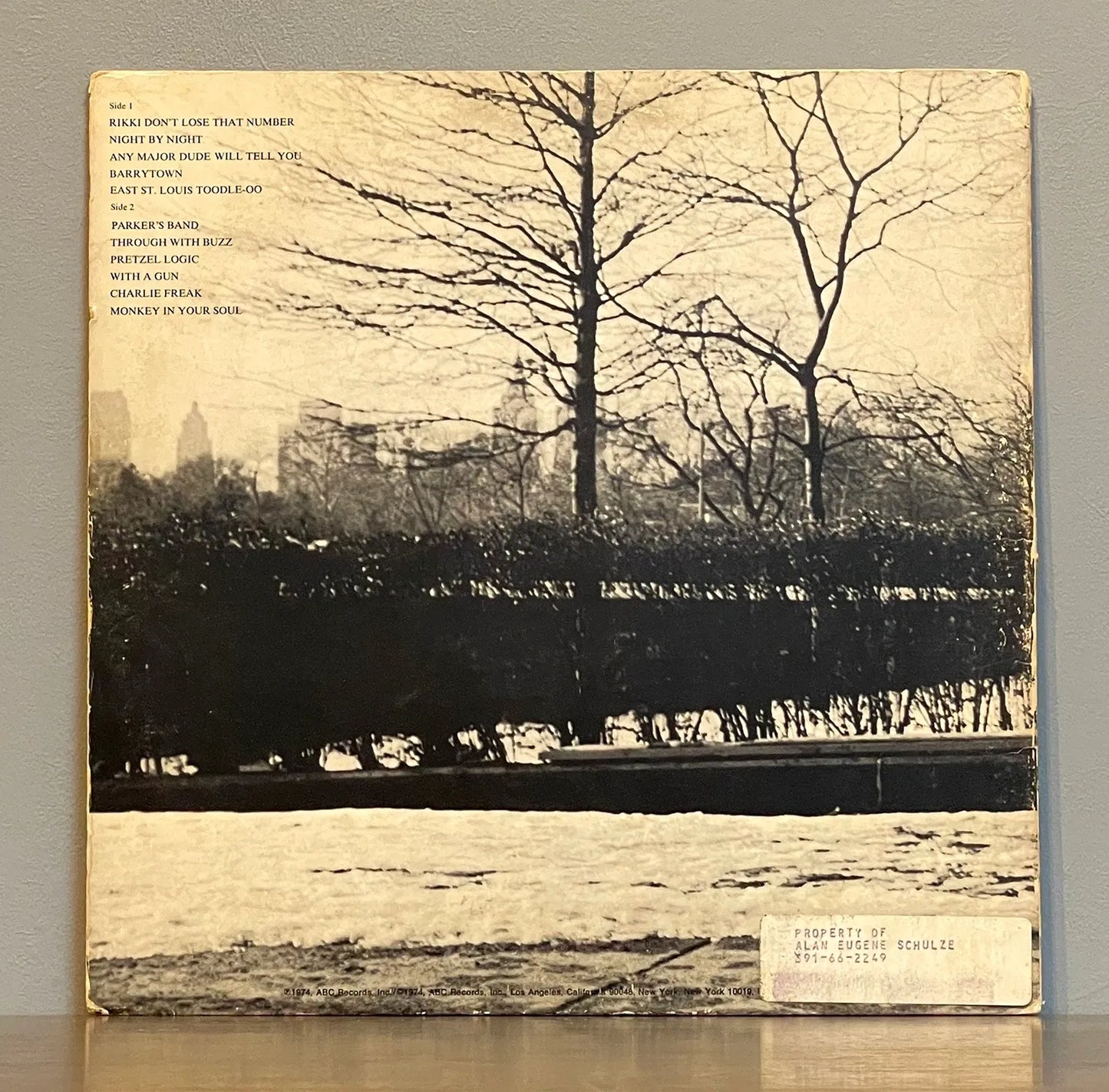 Steely Dan – Pretzel Logic