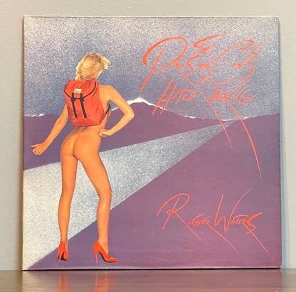 Roger Waters – The Pros And Cons Of Hitch Hiking
