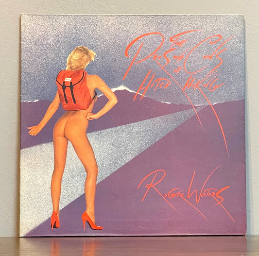 Roger Waters – The Pros And Cons Of Hitch Hiking