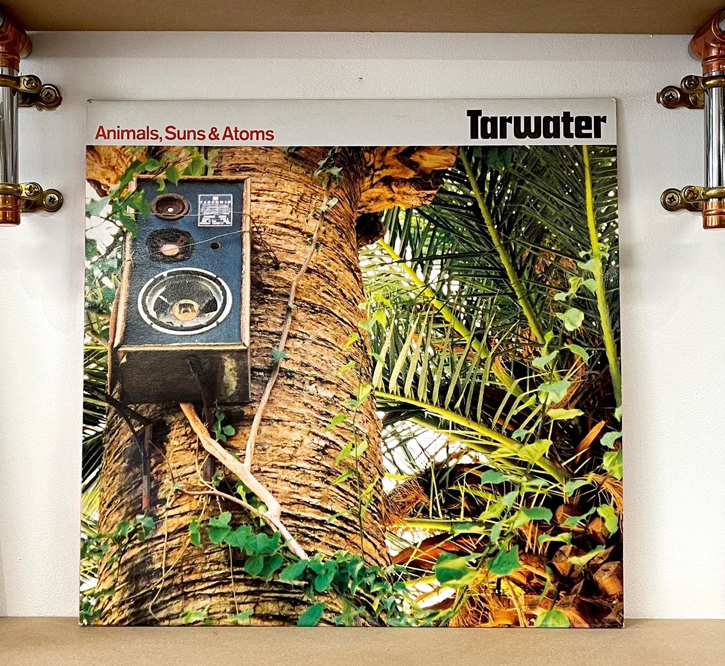 Tarwater – Animals, Suns & Atoms