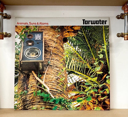 Tarwater – Animals, Suns & Atoms