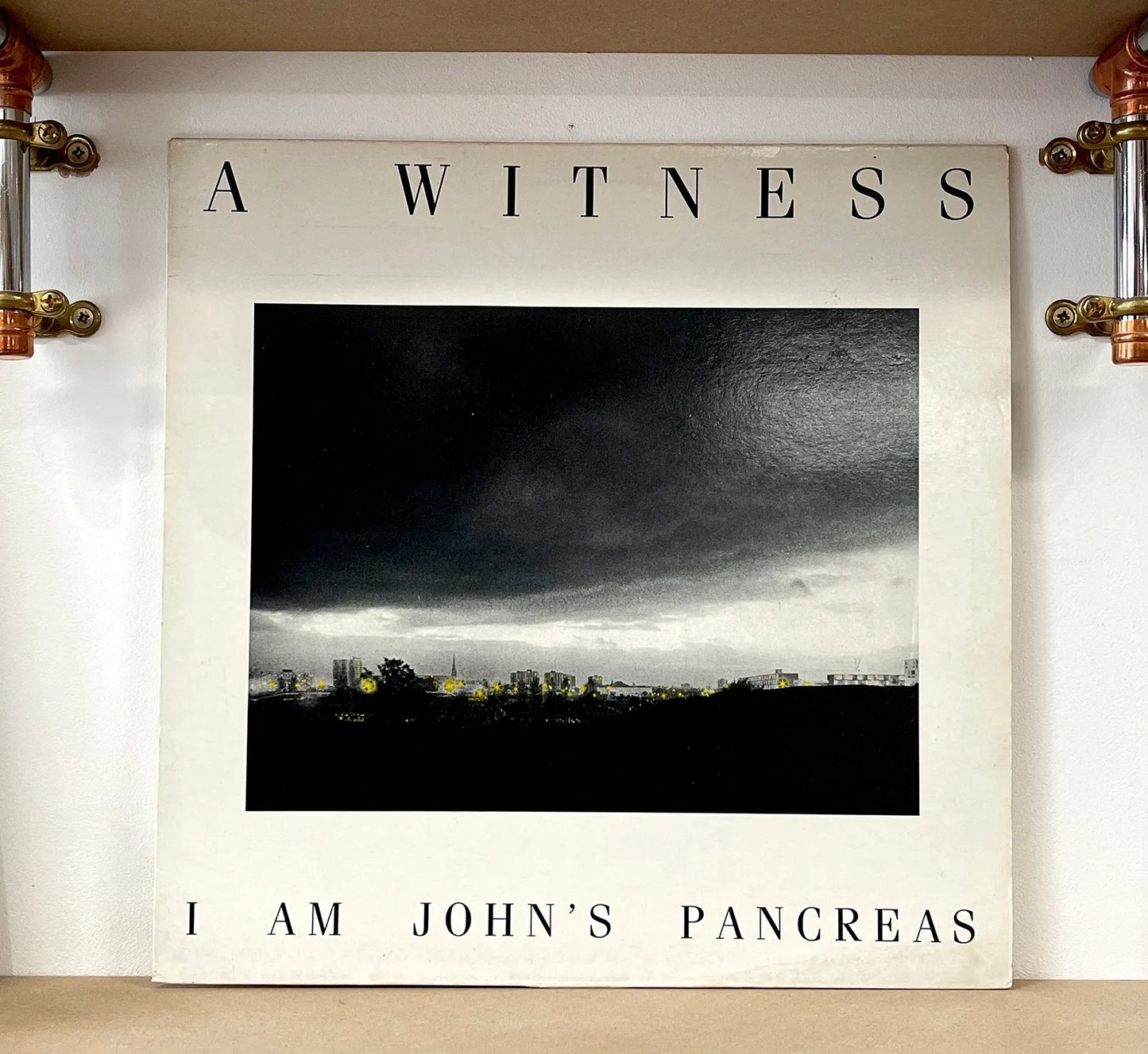 A Witness – I Am John's Pancreas