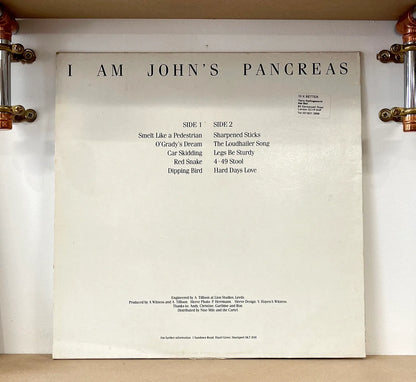 A Witness – I Am John's Pancreas