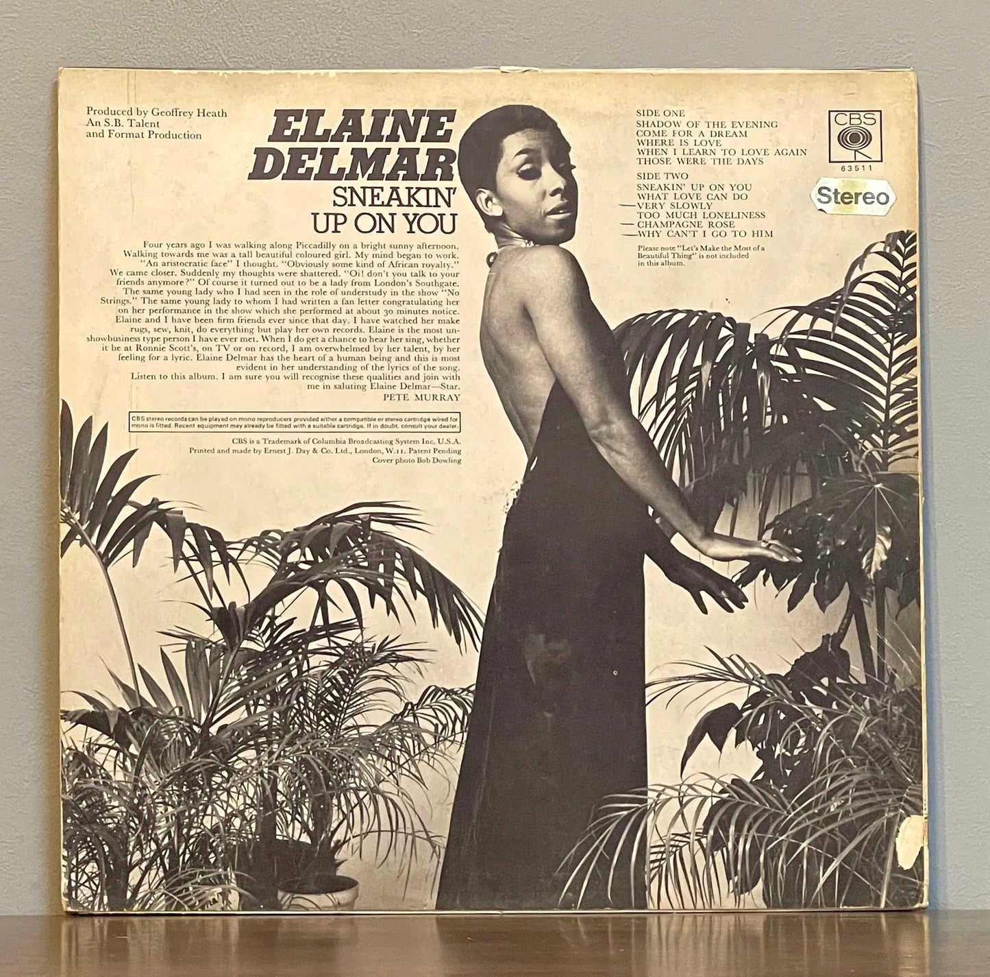 Elaine Delmar – Sneakin' Up On You