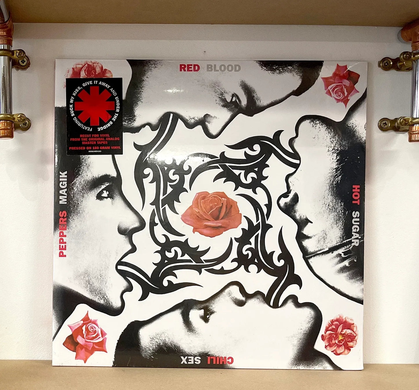 Red Hot Chili Peppers – Blood Sugar Sex Magik