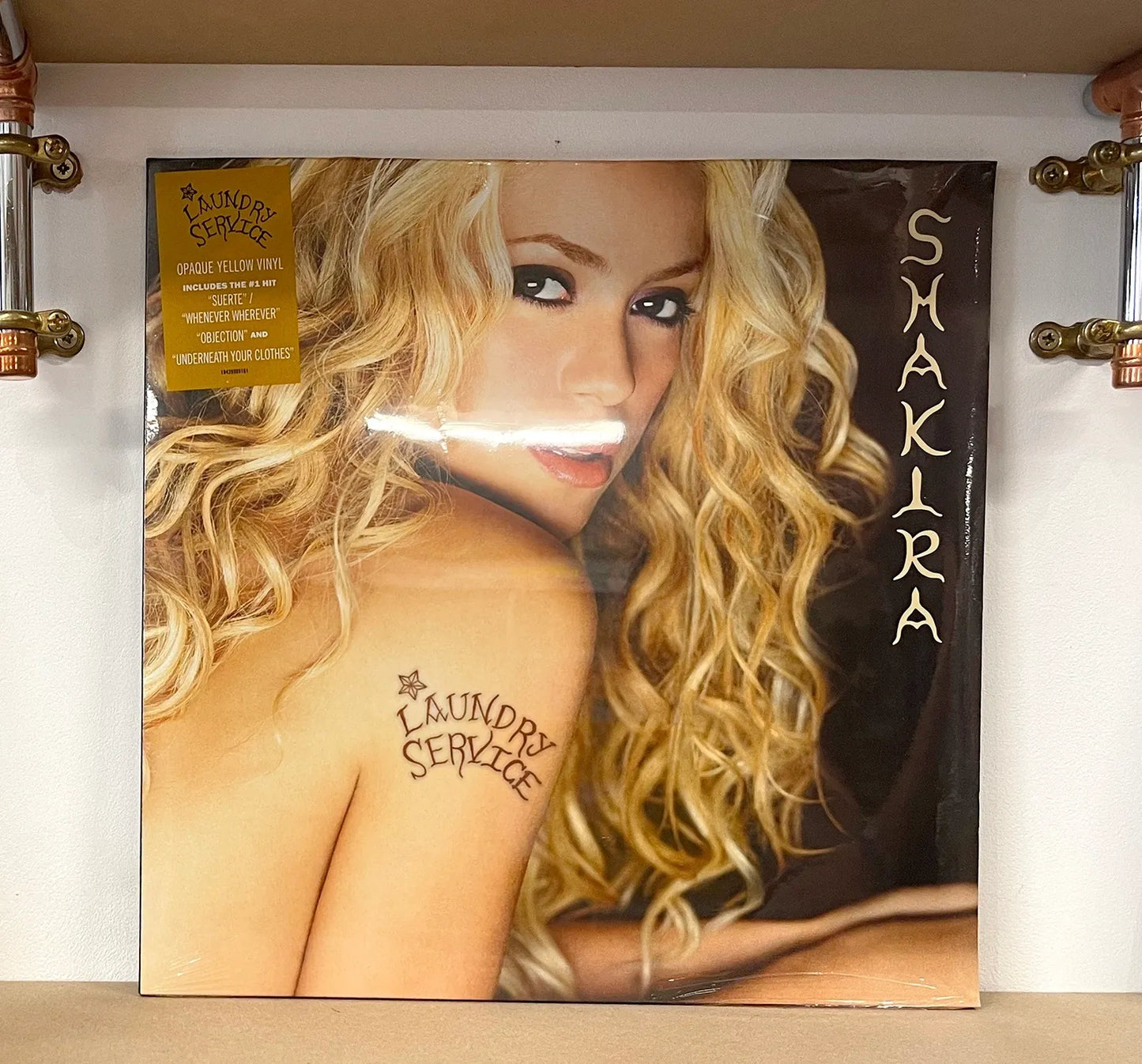 Shakira – Laundry Service