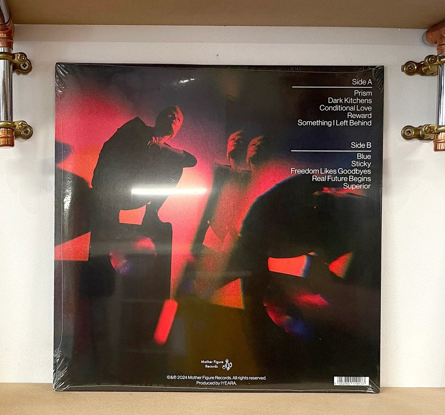 Liela Moss – Transparent Eyeball