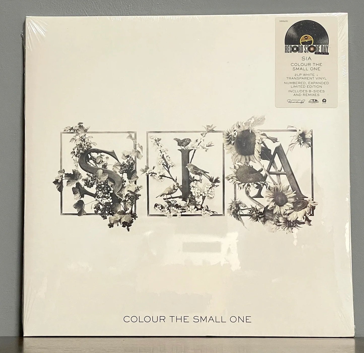 Sia – Colour The Small One