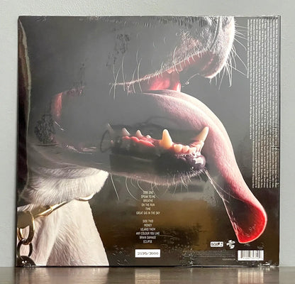 Roger Waters – The Dark Side Of The Moon Redux (Picture Disc)