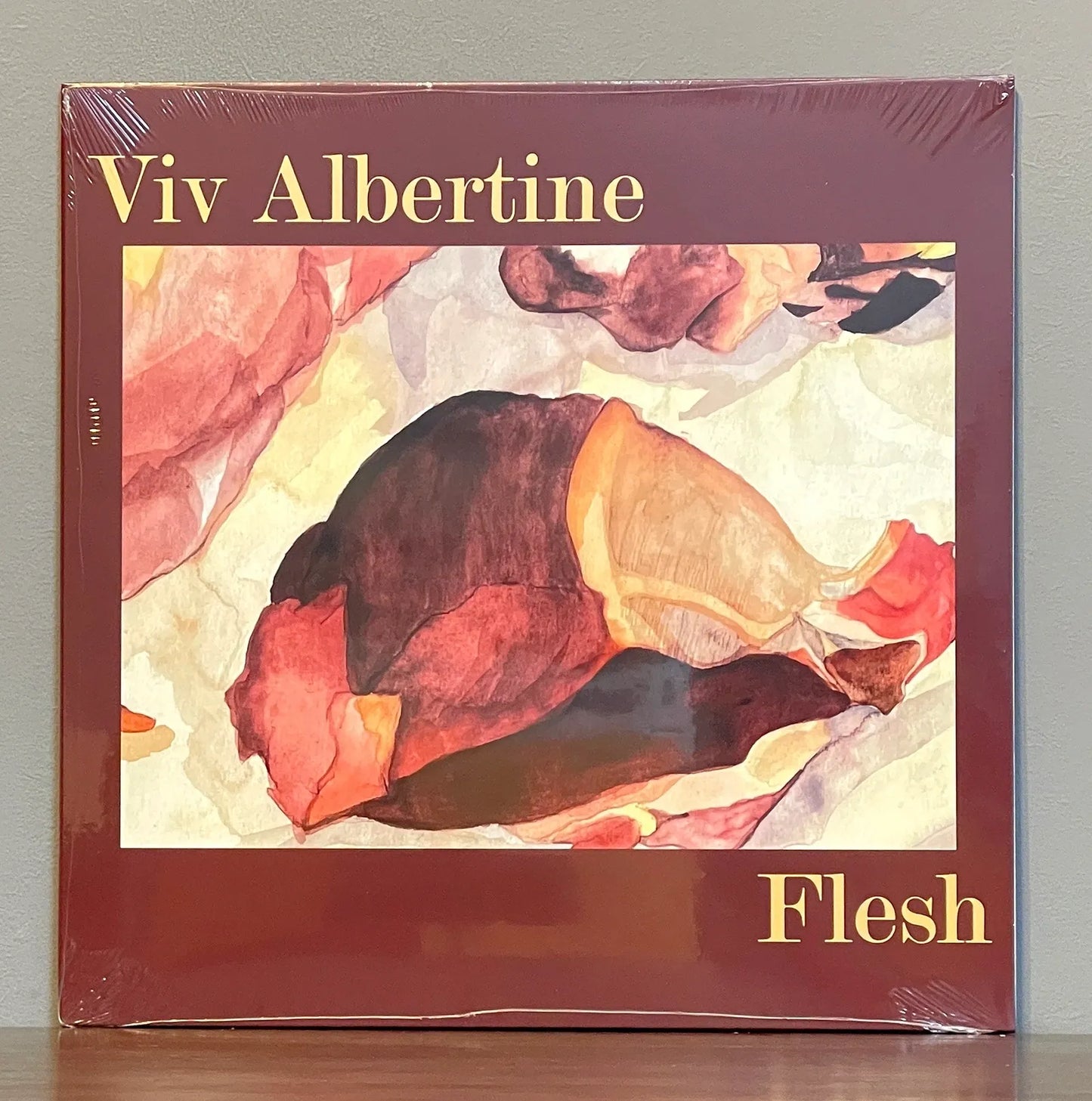 Viv Albertine – Flesh