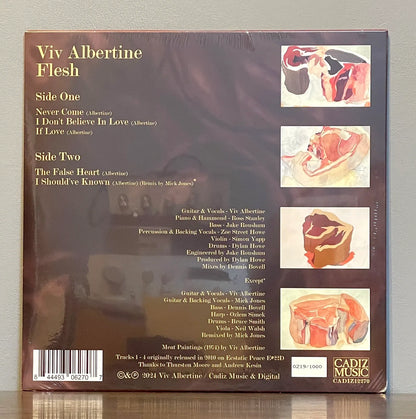 Viv Albertine – Flesh