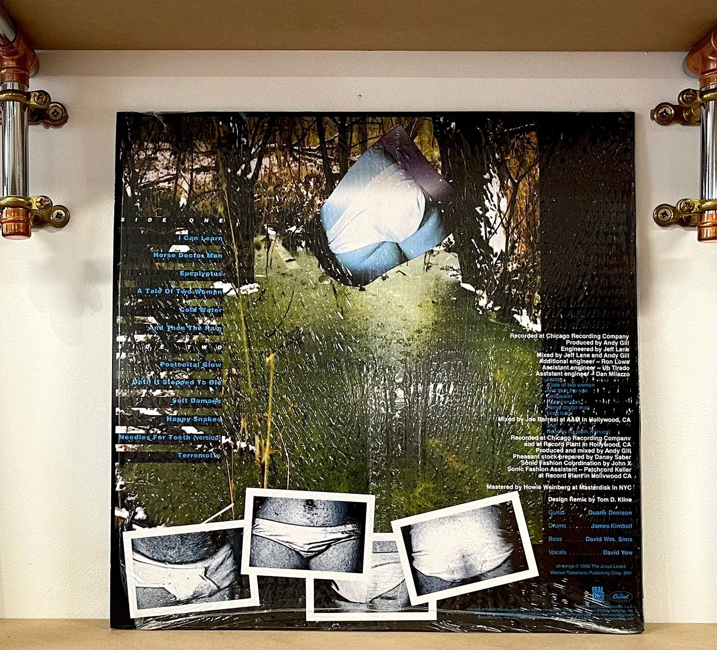 The Jesus Lizard – Blue