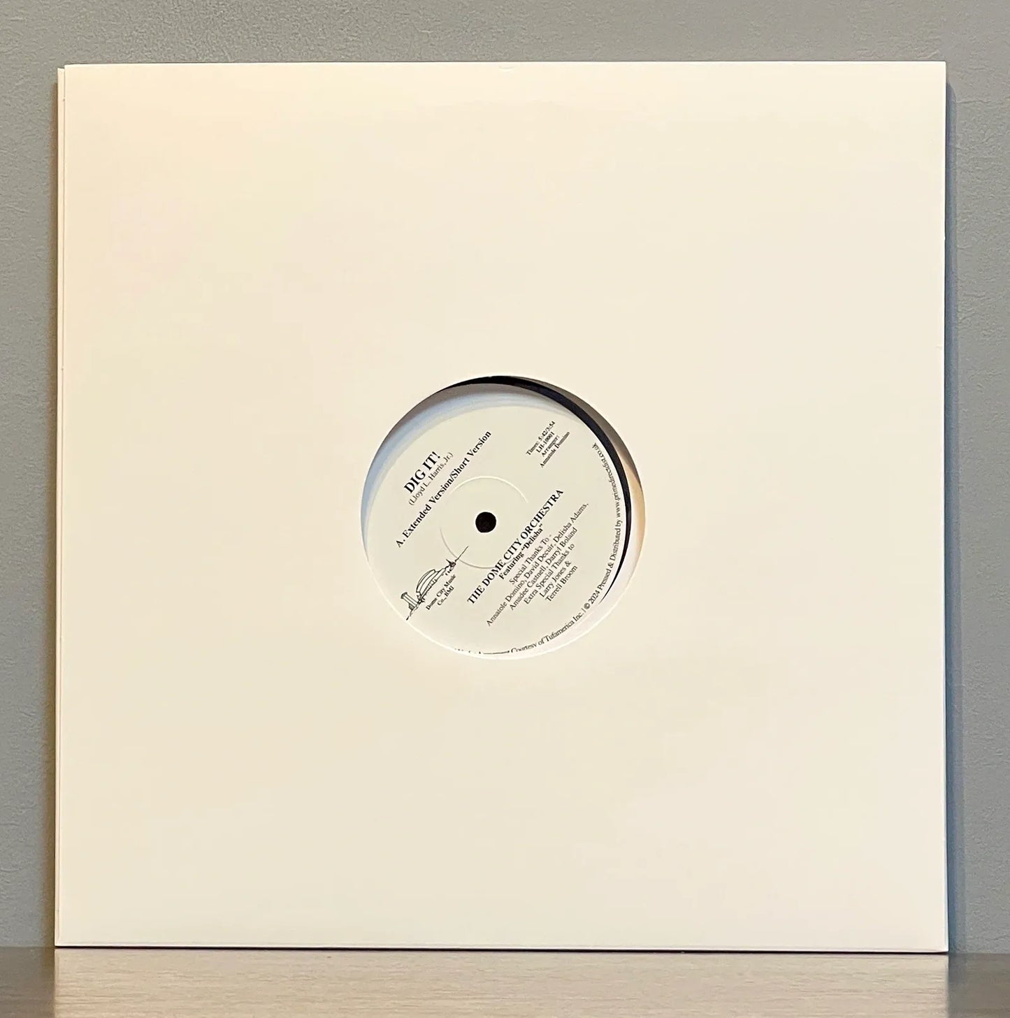 The Dome City Orchestra Featuring Delisha – Dig It!